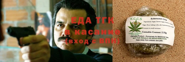 индика Нея