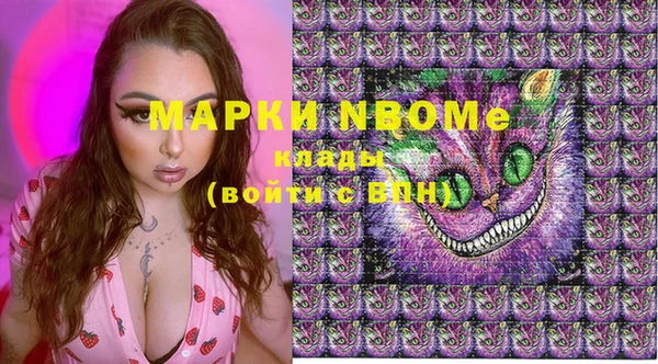 индика Нея