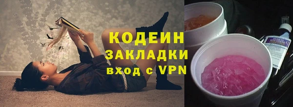 индика Нея
