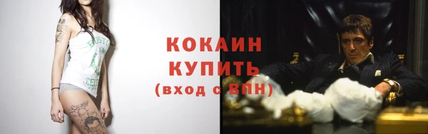 индика Нея