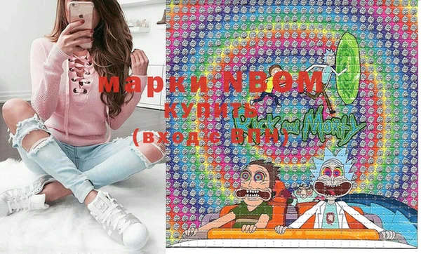 индика Нея