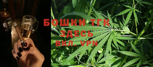 индика Нея