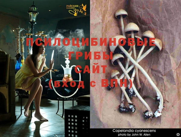 МДПВ Нефтегорск