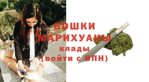 индика Нея