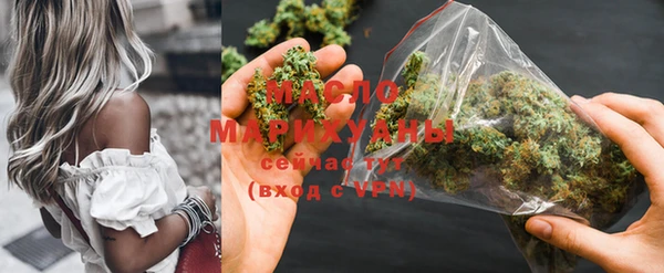 индика Нея