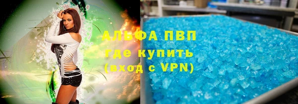 индика Нея