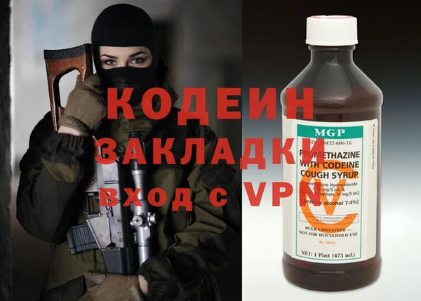 индика Нея