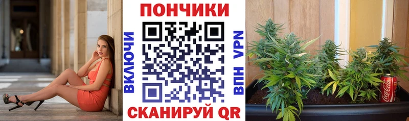 Бошки марихуана THC 21%  кракен онион  Уржум  где купить наркотик 